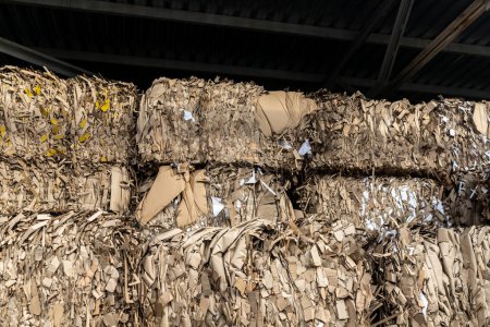 Foto de Large stack of finely cut paper for recycling inside the building. - Imagen libre de derechos
