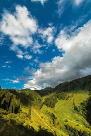 Photo for Summer Kimasar gorge with a view of Mount Furmanov. Popular weekend hiking route in Almaty mountains, vertical. - Royalty Free Image