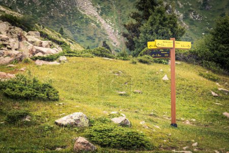 Photo for Signpost for tourists with directions on a hiking trail in the mountains of Almaty. Development of the tourism infrastructure of domestic tourism in Kazakhstan. Almaty, Kazakhstan - July 19, 2022 - Royalty Free Image
