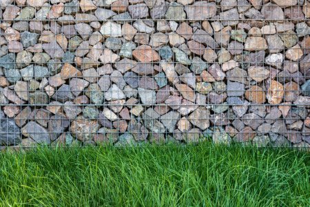 Photo for Wall of gabions and fluffy lawn grass in front of it, copy space. - Royalty Free Image
