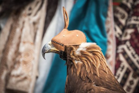 Klobuk - eine Mütze für Greifvögel vor dem Hintergrund kasachischer Nationaltrachten.