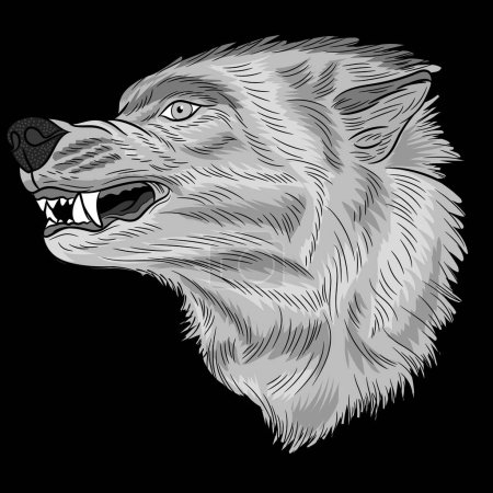 Illustration for Angry Wolf head showing fangs with fire vector design limited edition shadows simulating the animal's hair - Royalty Free Image
