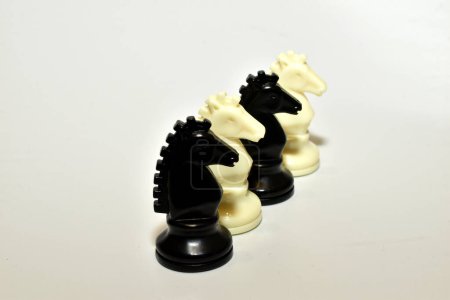 Photo for Chess knights, white and black, are placed in a row on a white background. - Royalty Free Image