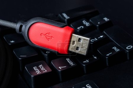 Téléchargez les photos : Détail de connecteur de câble USB rouge pour ordinateur tenant sur fond de clavier noir - en image libre de droit
