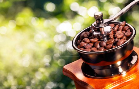 Téléchargez les photos : Grains de café dans une broyeuse avec fond clair bokeh naturel - en image libre de droit
