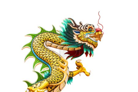 Foto de Cabeza de dragón chino aislado sobre fondo blanco - Imagen libre de derechos