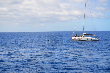 Foto de Costa Adeje, Tenerife 03.19.2018: Un barco turístico observando delfines en la Costa de Adeje en el sur de Tenerife, Islas Canarias - Imagen libre de derechos