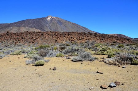 Photo for Scenic view of volcanic rock formations in desert during sunny day, Teide National Park, Tenerife - Royalty Free Image