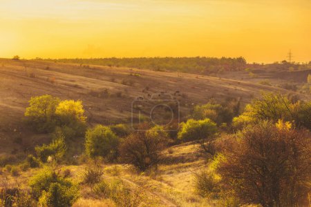 Téléchargez les photos : Ukrainian bright autumn landscape highlighted by sun. Rural scenery at the sunset time. Kriviy Rih, Ukraine - en image libre de droit