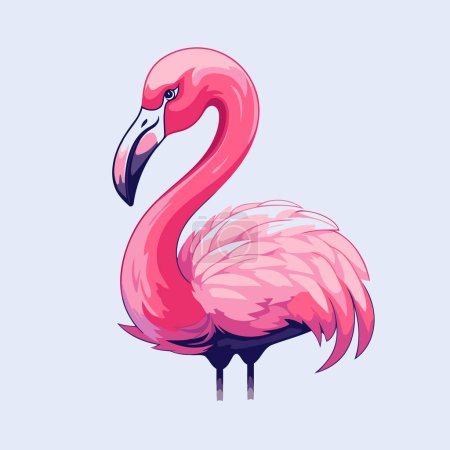 Ilustración de Ilustración del vector flamenco. Flamingo rosa aislado sobre fondo azul. - Imagen libre de derechos