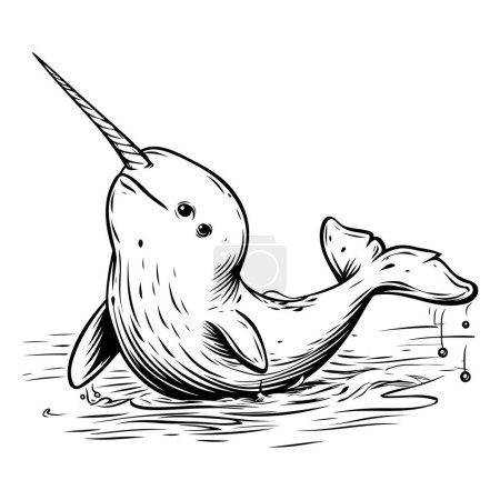 Illustration for Vector hand drawn illustration of a cute narwhal. Cartoon style. - Royalty Free Image