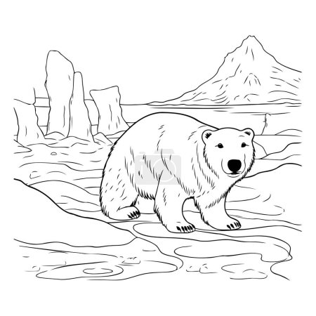 Illustration for Polar bear in the wild. sketch for your design. Vector illustration - Royalty Free Image