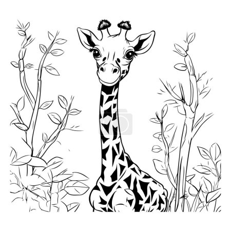 Téléchargez les illustrations : Girafe dans la jungle. Illustration vectorielle noir et blanc. - en licence libre de droit