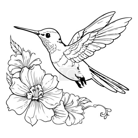 Téléchargez les illustrations : Colibri aux fleurs d'hibiscus. Illustration vectorielle. - en licence libre de droit