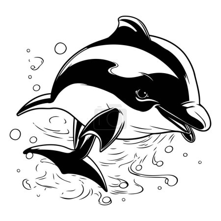 Téléchargez les illustrations : Un dauphin qui saute de l'eau. Illustration vectorielle noir et blanc. - en licence libre de droit