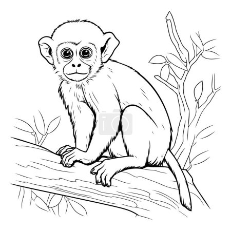 Ilustración de Mono sentado en una rama de árbol. Ilustración vectorial para colorear libro. - Imagen libre de derechos