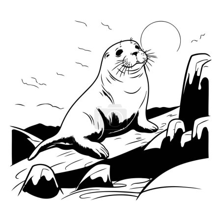 Téléchargez les illustrations : Illustration vectorielle d'un phoque sur un rocher. Image en noir et blanc. - en licence libre de droit