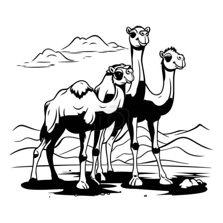 Camel in the desert. Vector illustration. Black and white.