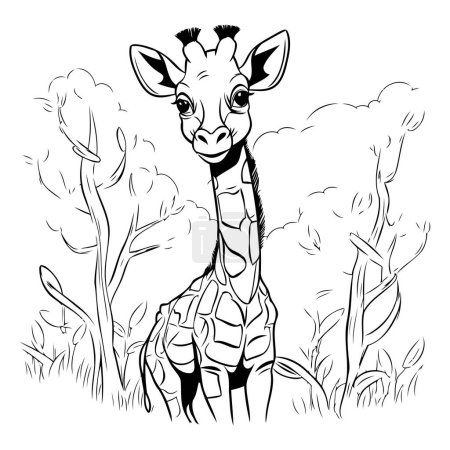 Illustration for Giraffe in the savannah. black and white vector illustration - Royalty Free Image