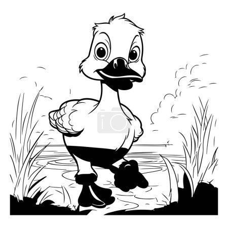 Ilustración de Ilustración vectorial en blanco y negro de un pato parado en un estanque. - Imagen libre de derechos