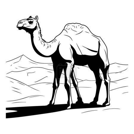 Téléchargez les illustrations : Illustration d'un chameau debout dans le désert sur fond blanc - en licence libre de droit