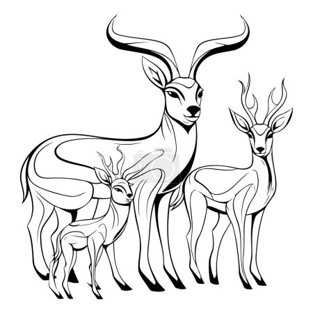 Téléchargez les illustrations : Illustration vectorielle en noir et blanc d'une paire d'antilopes. - en licence libre de droit