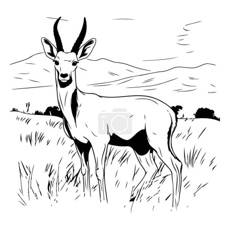Téléchargez les illustrations : Esquisse en noir et blanc d'antilope sur le terrain. Illustration vectorielle - en licence libre de droit