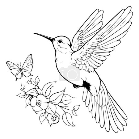Téléchargez les illustrations : Colibri avec fleurs et papillons. Illustration vectorielle noir et blanc. - en licence libre de droit