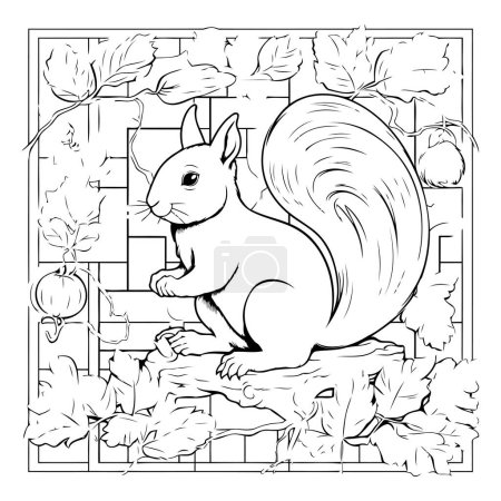 Téléchargez les illustrations : Un écureuil. Illustration en noir et blanc pour livre ou page à colorier. - en licence libre de droit