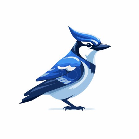 Illustration for Blue jay bird vector Illustration isolated on a white background. - Royalty Free Image