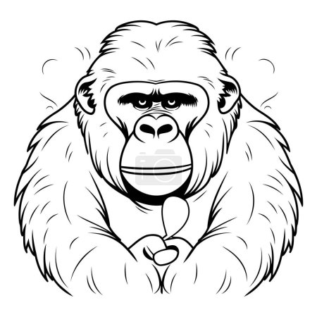 Illustration for Gorilla with a glass of wine. Vector illustration for your design - Royalty Free Image