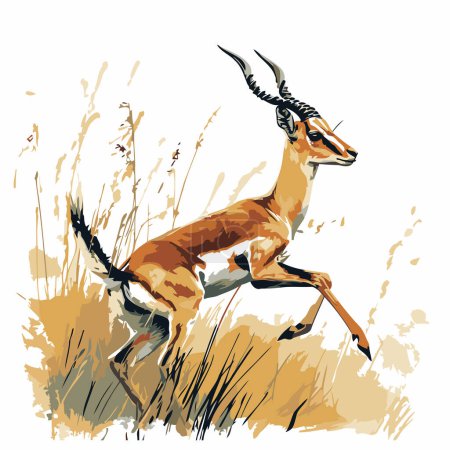 Illustration for Vector illustration of gazelle running in the grass. Wild african animal. - Royalty Free Image