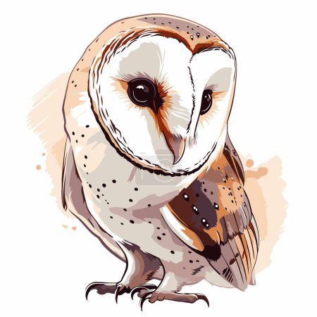 Illustration for Illustration of an owl. Vector illustration on a white background. - Royalty Free Image