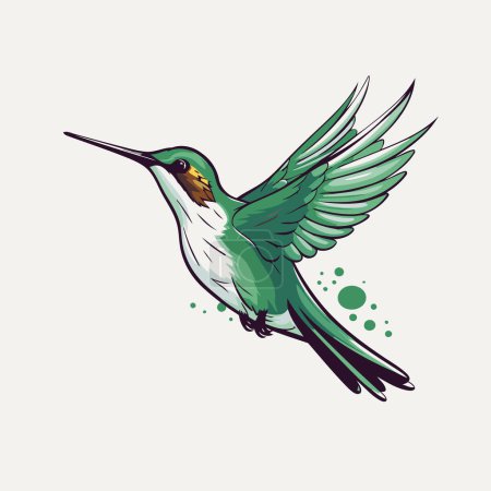 Téléchargez les illustrations : Illustration vectorielle des colibris. Colibri dessiné à la main avec des ailes. - en licence libre de droit