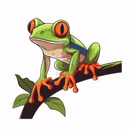 Frog on a branch isolated on white background. Vector illustration.