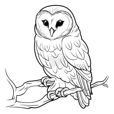 Illustration for Owl - Black and White Cartoon Illustration. Mascot - Royalty Free Image