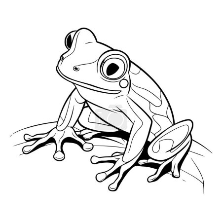 ilustración de una rana sobre un fondo blanco al estilo de un boceto