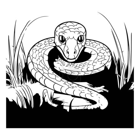 Téléchargez les illustrations : Serpent dans l'herbe illustration vectorielle noir et blanc pour livre à colorier - en licence libre de droit