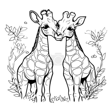 Illustration for Two giraffes in the jungle. Coloring page for adults. - Royalty Free Image