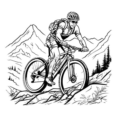 Illustration for Mountain biker. Vector illustration of a mountain biker. - Royalty Free Image