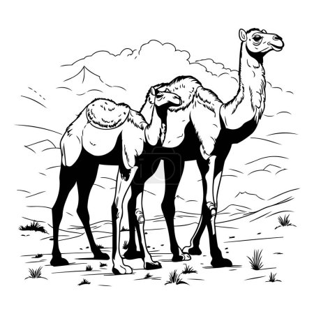 Illustration for Camel in the desert. Black and white vector illustration for coloring book. - Royalty Free Image