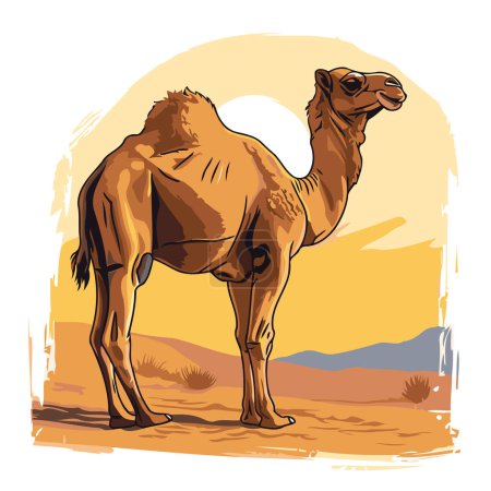Illustration for Camel in the desert. Vector illustration of a camel in the desert. - Royalty Free Image