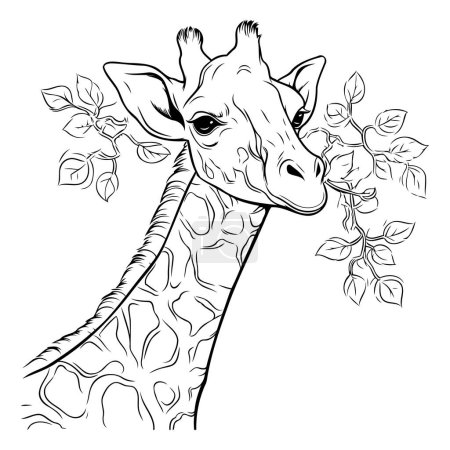 Téléchargez les illustrations : Girafe aux feuilles. esquisse pour votre design. Illustration vectorielle - en licence libre de droit