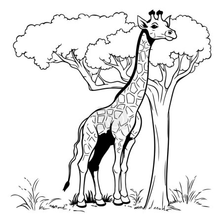 Téléchargez les illustrations : Girafe dans la savane. illustration vectorielle noir et blanc. - en licence libre de droit