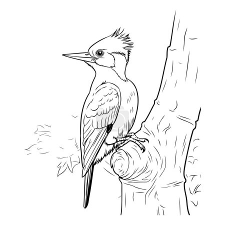 Illustration for Crowned Woodpecker on a tree branch. Vector illustration. - Royalty Free Image