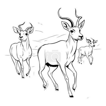 Téléchargez les illustrations : Antilope et chevreuil. esquisse pour votre design. Illustration vectorielle - en licence libre de droit