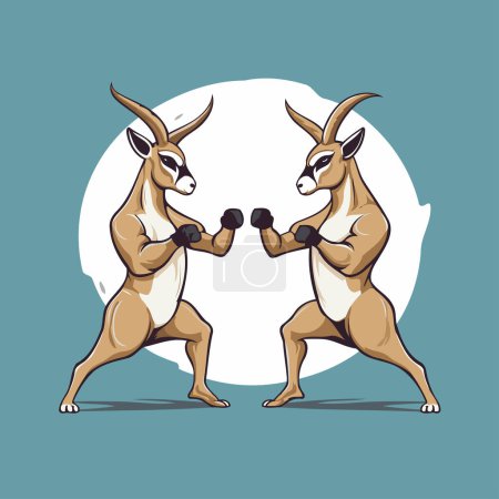 Illustration for Kangaroos fight. Vector illustration of kangaroos boxing. - Royalty Free Image