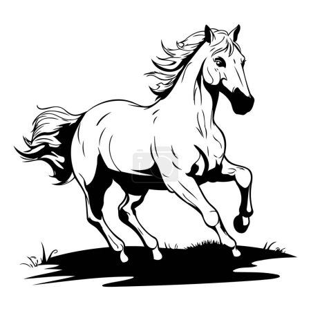 Illustration for Black and white vector illustration of a horse galloping in the field - Royalty Free Image