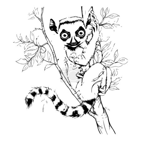 Ilustración de Ilustración vectorial en blanco y negro de un lémur sentado en una rama de árbol - Imagen libre de derechos