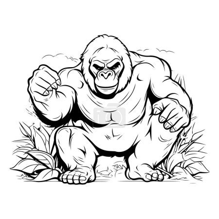 Ilustración de Gorilla - Ilustración vectorial. Aislado sobre fondo blanco - Imagen libre de derechos